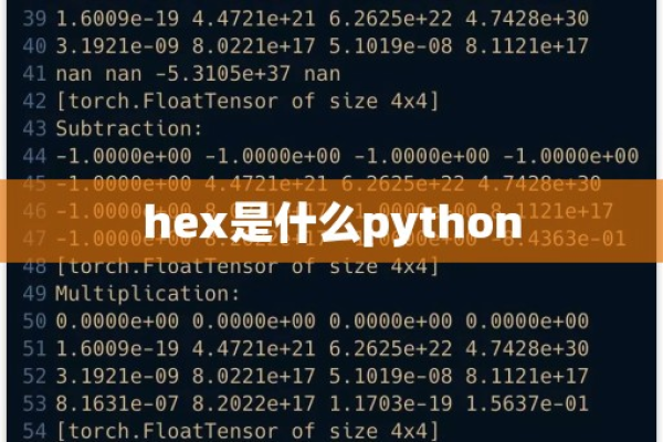 python的hex函数