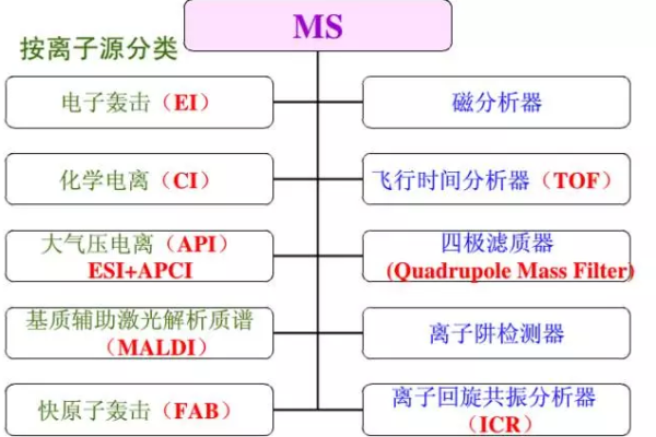 什么是MS通信中的分子搜索（MS）技术？