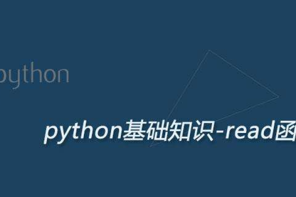 python中read的用法和作用