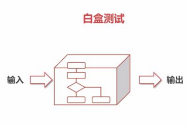 什么是白盒测试