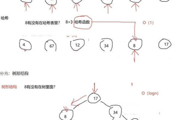 python如何构建有向图