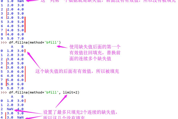 python如何填充缺失值