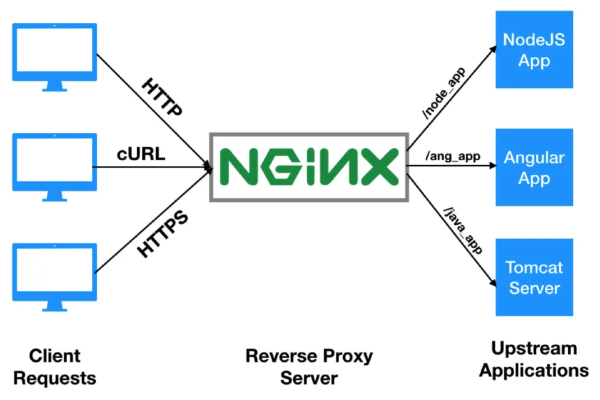 nginx 怎么读  第1张