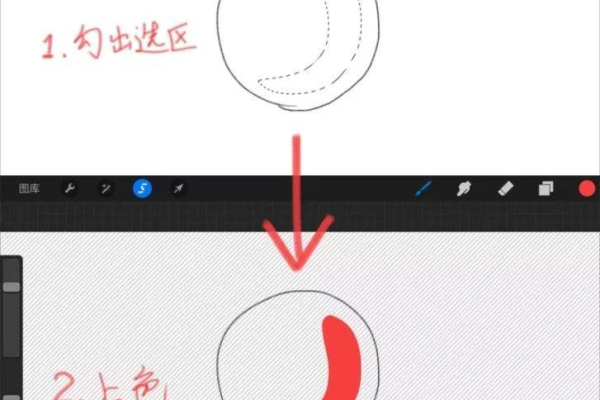 Procreate怎么显示笔刷轮廓-Procreate显示笔刷轮廓教程