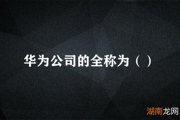 华为全称是什么  第1张