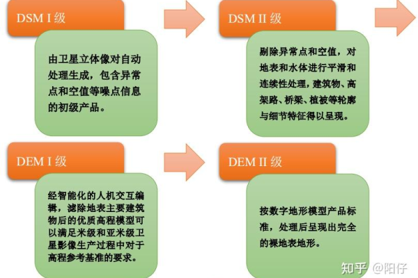 dsm是什么职位