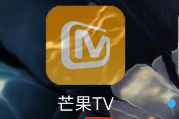 芒果TV一起看可以同时几个人看