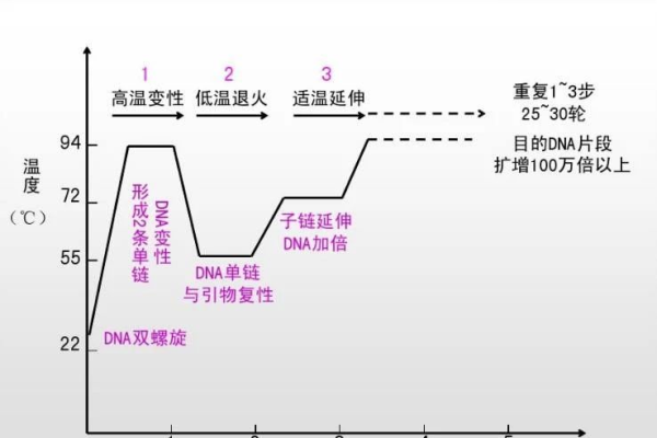 什么是pcr  第1张