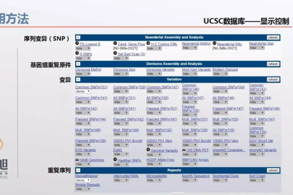 ucsc数据库怎么使用