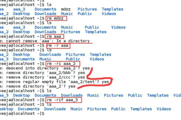 Linux中的/proc和/sys目录是什么？它们有什么作用？  第1张