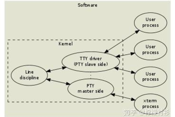 什么是Xterm？它在计算机终端中扮演着怎样的角色？