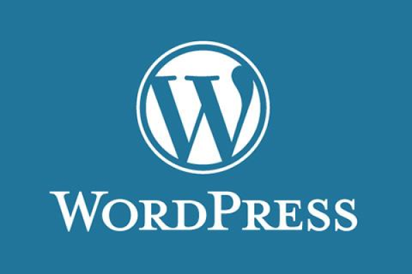 如何用代码实现移除WordPress版本号