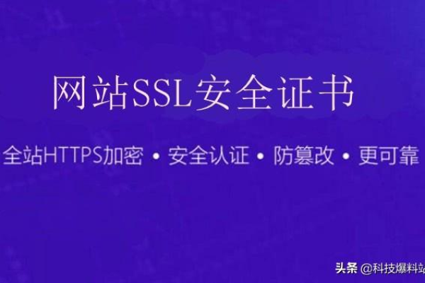 安全加固，虚拟主机安装SSL证书，确保网站数据安全 (虚拟主机安装安全证书)