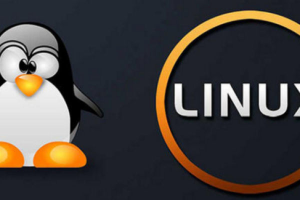 linux中opt是什么意思_linux中opt是什么