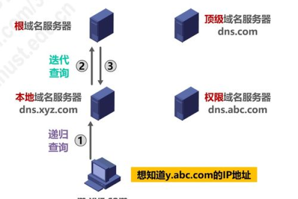 服务器域名解析查询怎么查询