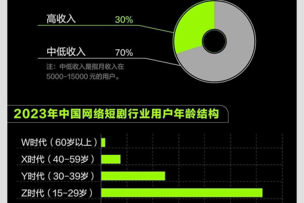 探究VPS的受众群体：有多少人在使用？ (vps多少人用)