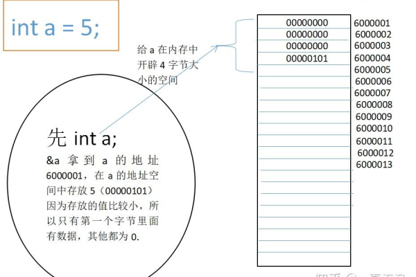 int是什么类型  第1张