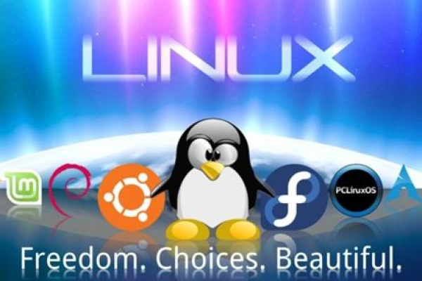 linux中的peerdns是什么_linux中的peerdns是什么意思