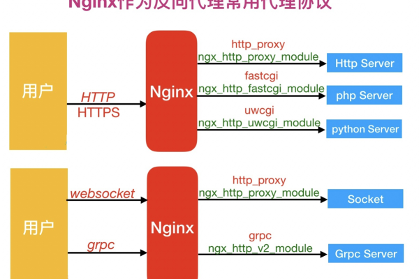 如何在Linux上配置反向代理（如Nginx）