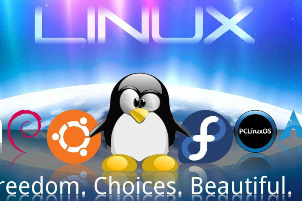 linux下可以开发app吗  第1张