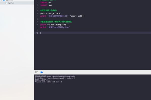如何用xcode写python  第1张
