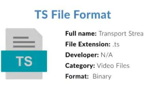 ts是什么文件  第1张