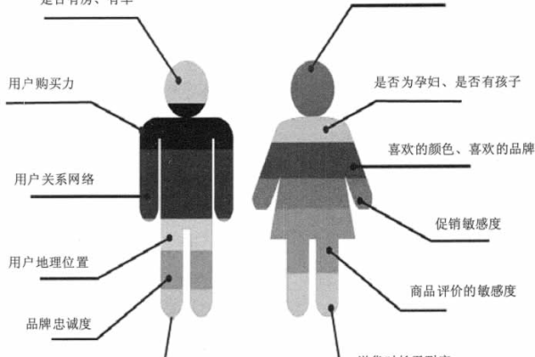 用户画像是什么  第1张