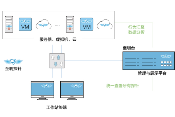 网站主机的解决方案