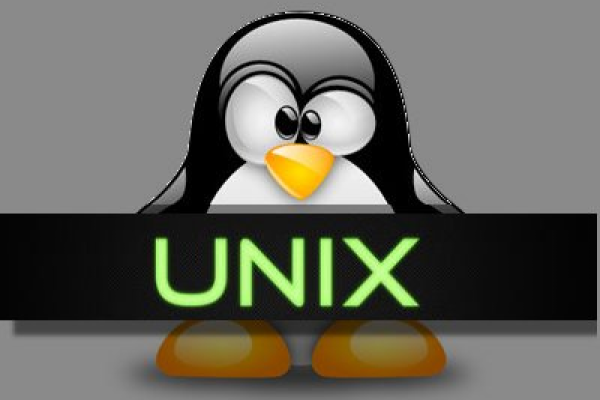 unix服务器是什么  第1张