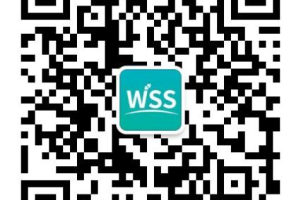 wss 域名  第1张