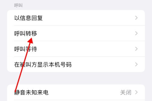苹果手机通话转移设置，苹果有呼唤转移的功能  第1张