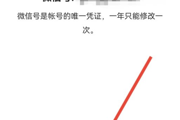 微信号可以设置成什么，微信号设置成什么好（微信号能设置什么）