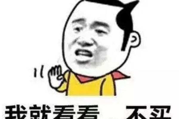 购买vps这么贵的原因有哪些「vps 购买」