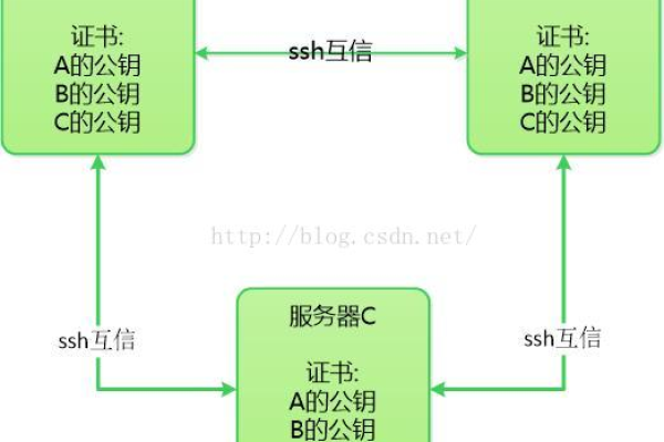 如何在Linux系统中建立SSH信任关系？