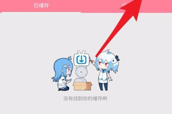 B站副存储授权是什么？如何操作？