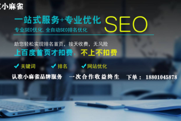 广州做seo整站优化公司  第1张