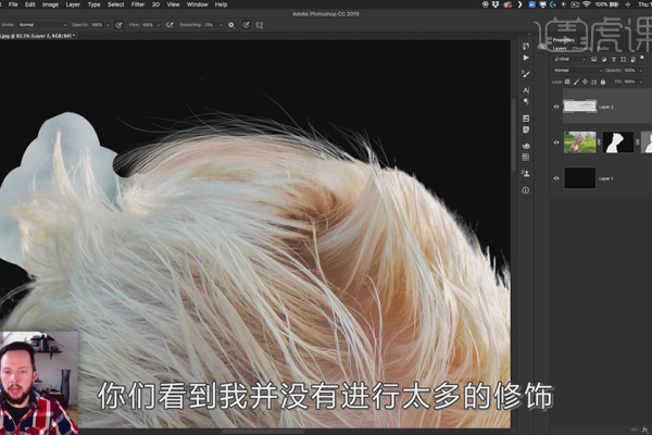 如何用ps抠毛发,ps怎么抠毛发细节复杂图