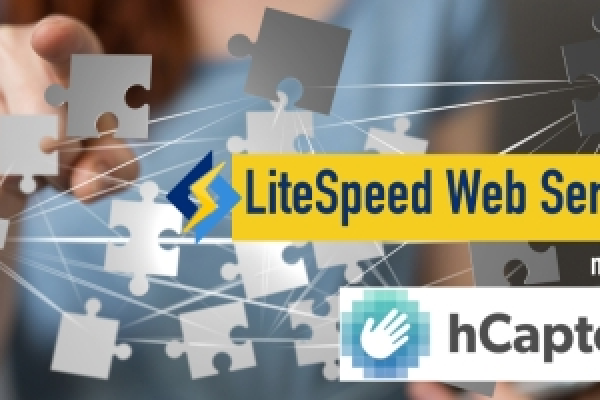 LiteSpeed是什么服务器 LiteSpeed和Apache哪个好