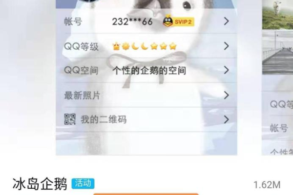 怎样免费设置qq名片，qq名片怎么弄（如何自己免费设置名片）