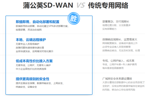 蒲公英*sdwan的功能有哪些,什么是蒲公英*sdwan