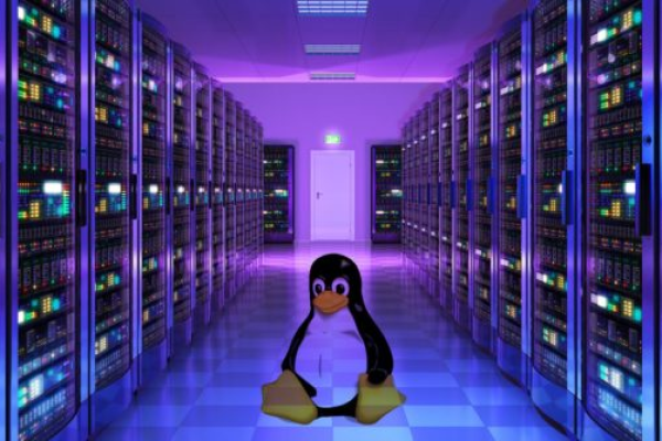 租用香港服务器linux系统好处有哪些