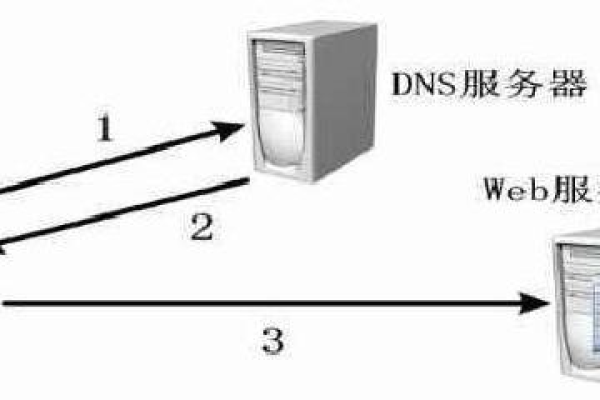 反面dns是怎么来的