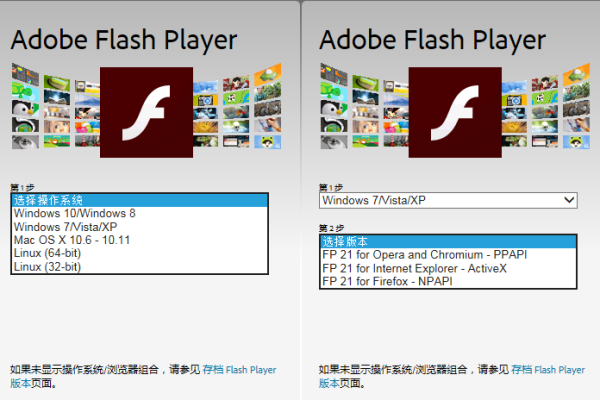 flash插件  第1张