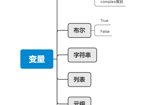 python变量的类型由什么决定