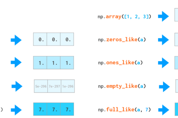 forward函数pytorch  第1张