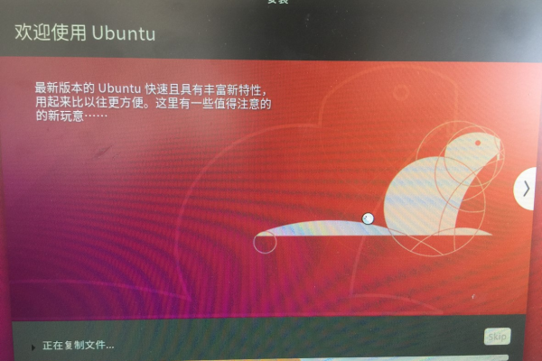 thinkpad安装ubuntu18