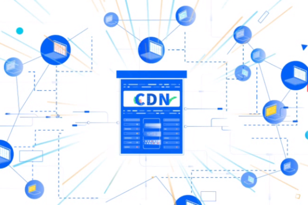 为何选择不使用CDN？探讨其背后的原因与影响