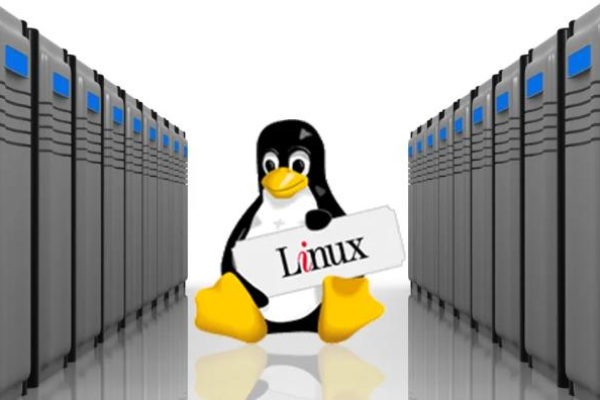 怎么把文件传到linux服务器