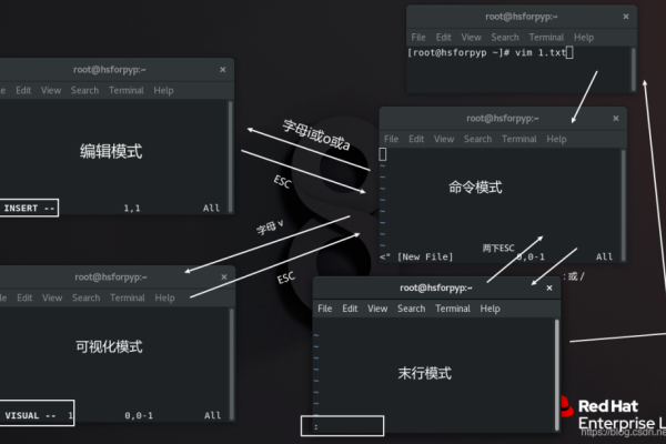 如何在Linux中使用vi编辑器进行写入操作？