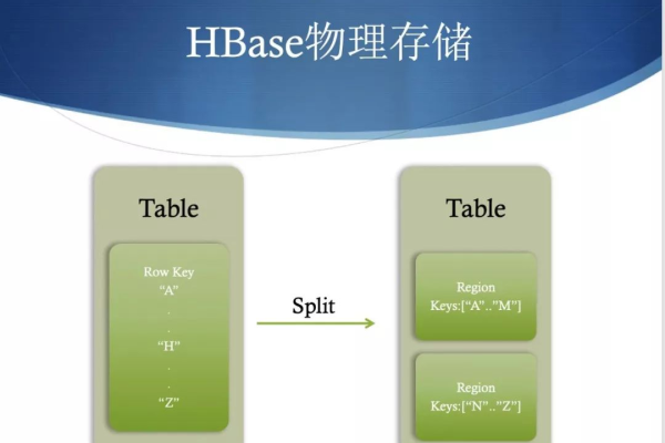 base和basic有什么区别